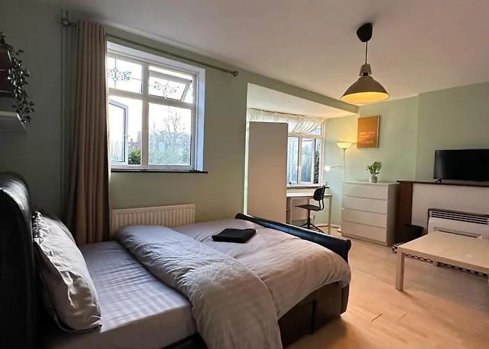 Renovu Houses In East Londyn