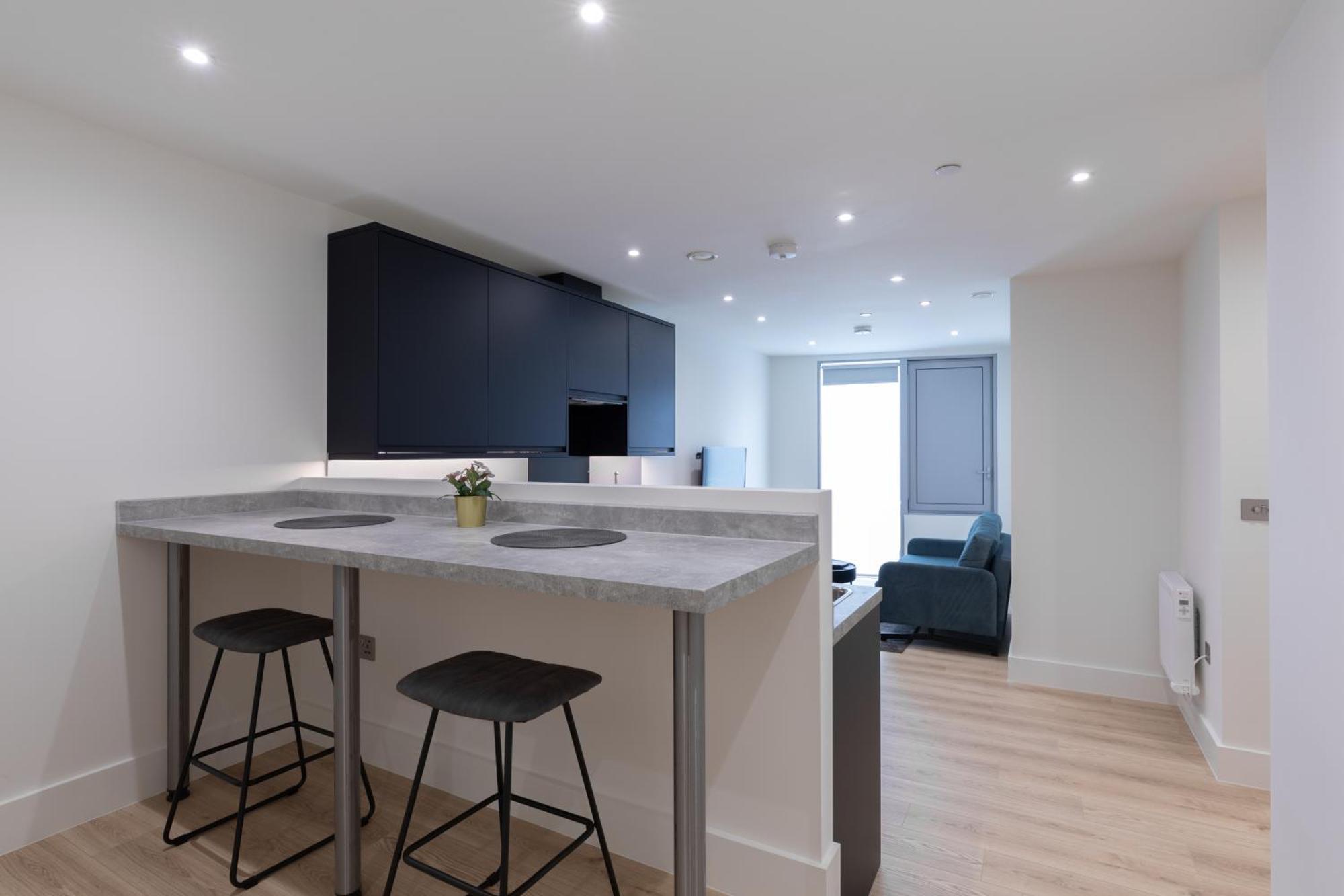 Deluxe One-Bedroom Apartment
