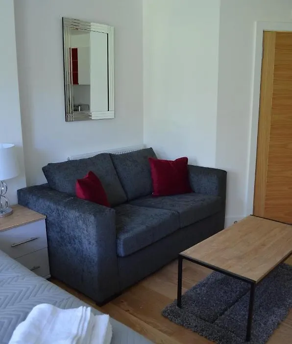 Executive Bright And Airy Studio Apartment In Sydenham-1