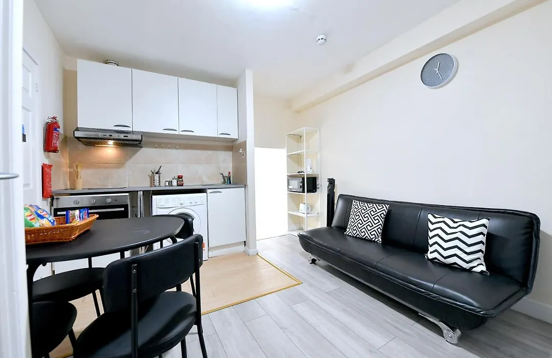 Newly Renovated Bedsit Near Seven Sisters-1