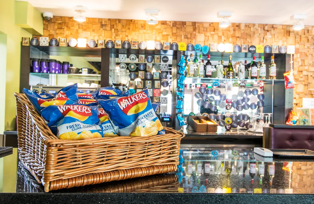 Safestay London Kensington Holland Park (Adults Only)-1