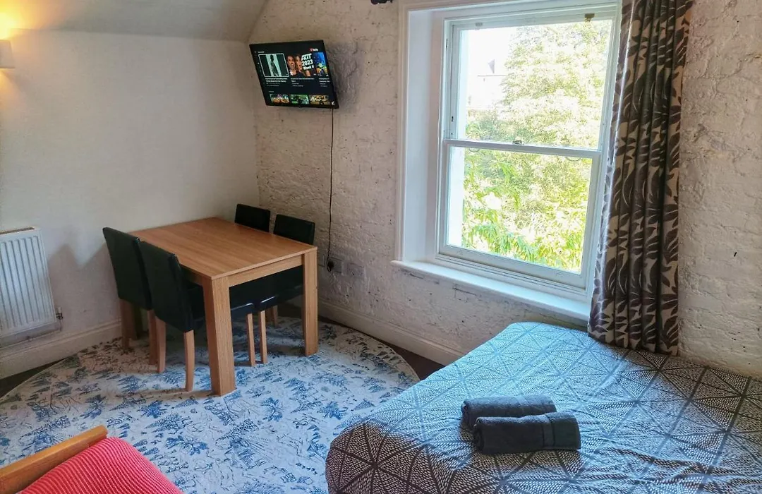 Mezzanine style studio apartment 8-1