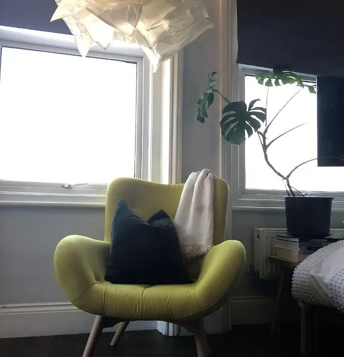 Studio Flat-1