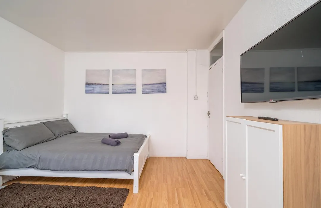 Spacious 1 Bed Flat In Dalston-1