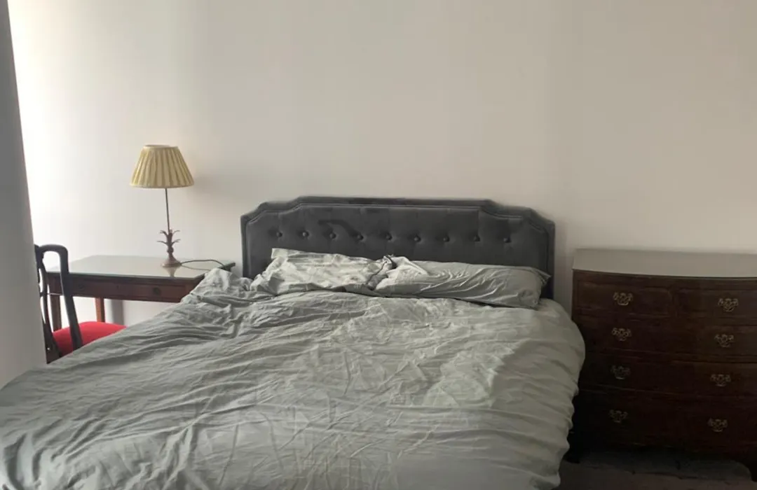 Luxury Apartment-1