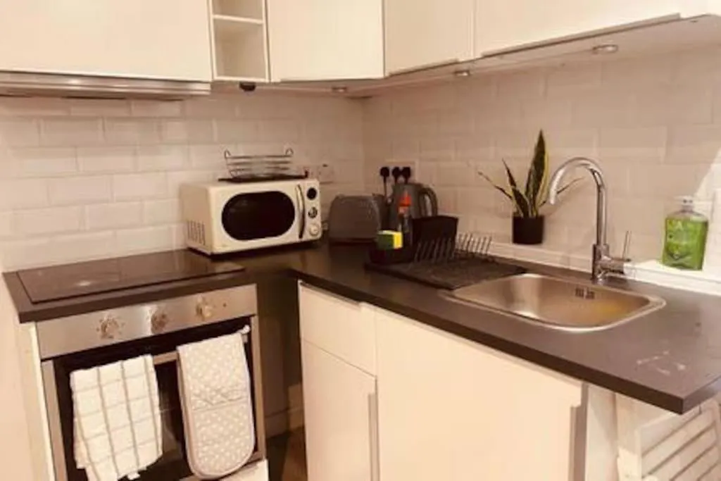 Modern 1 Bed Flat In Hackney With Parking-1
