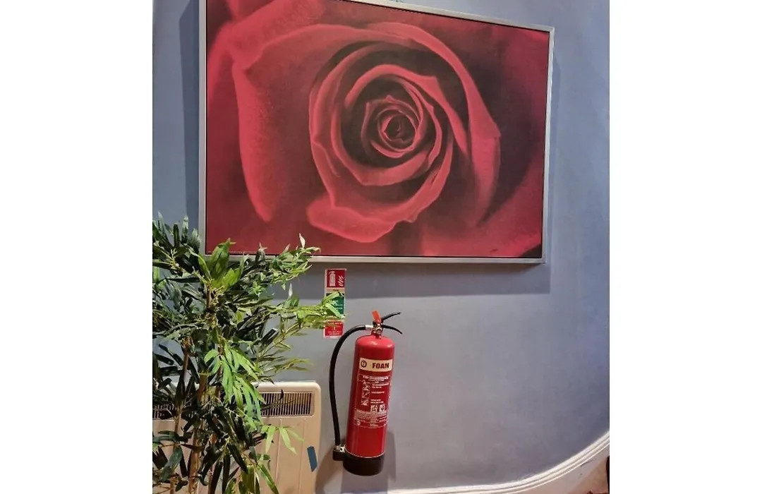Fb2-Fantastic Basement Studio Good For 3 Near Hyde Park-1