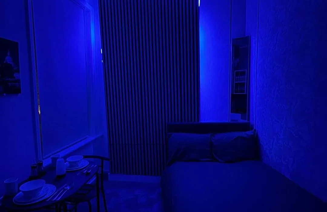 Cozy Studio Flat Central London-1