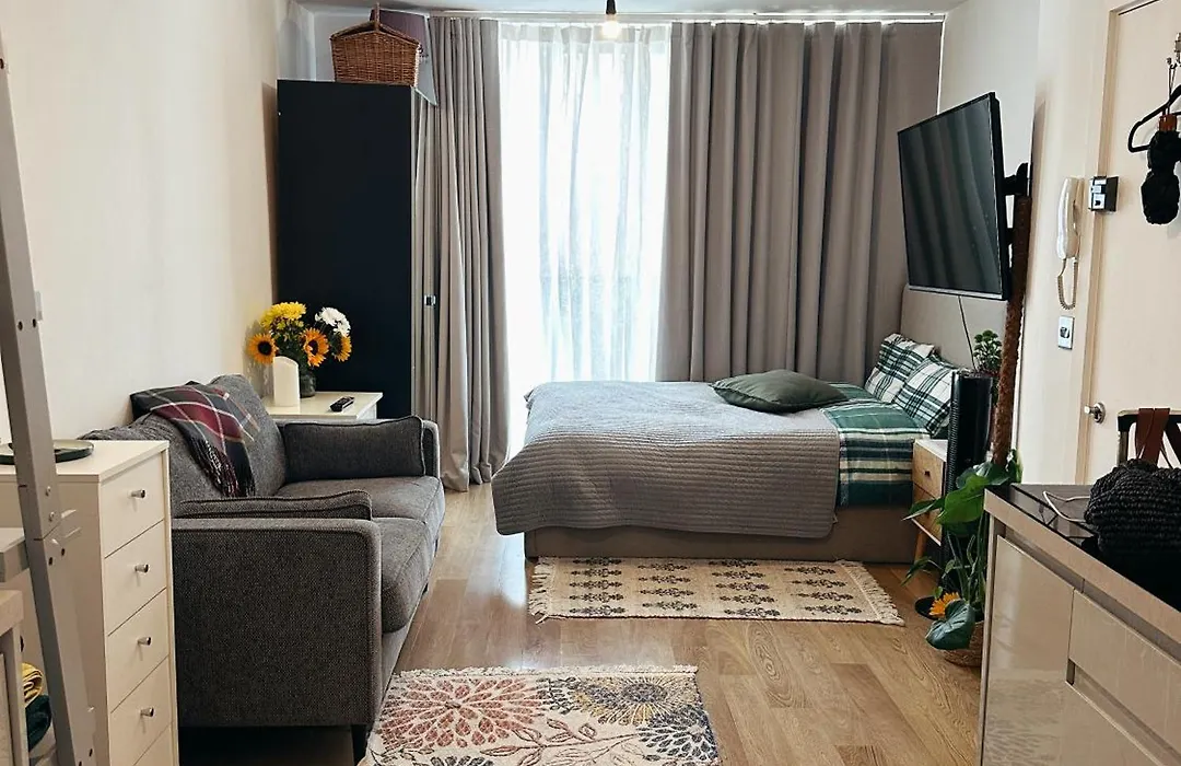 Cosy Studio In Clapham Old Town-1