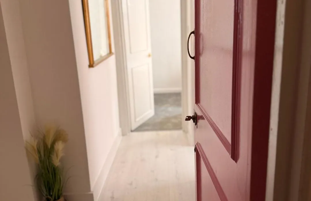 The Pink House-1