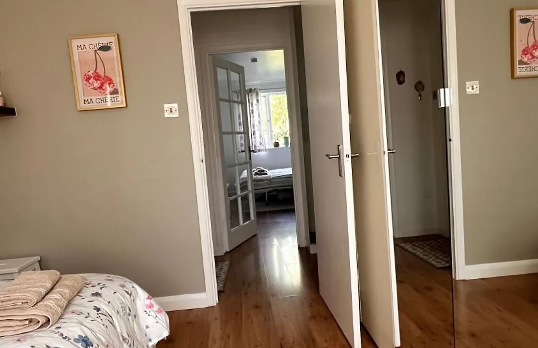Cozy Apartment-1