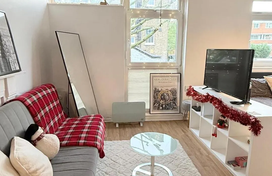 Colourful & Comfy Studio Flat-1