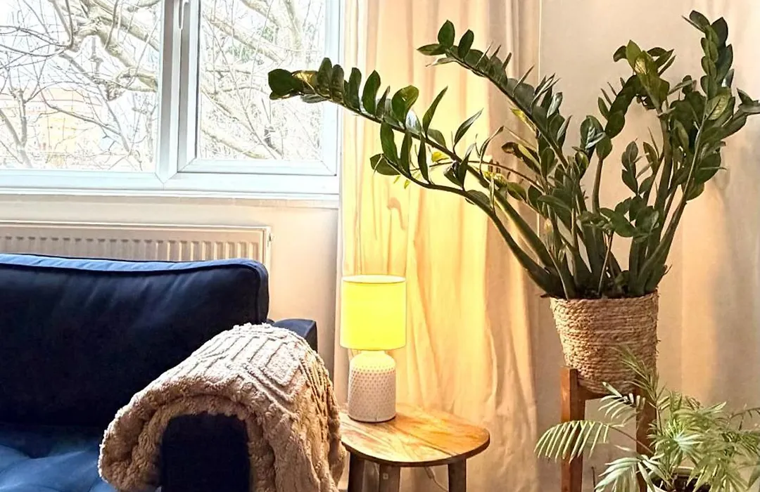 Newly Refurbished 2 Bedroom Apartment In South London-1