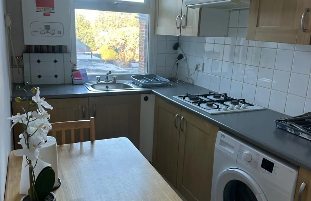 Beautiful Studio Apartment Forest Road-1