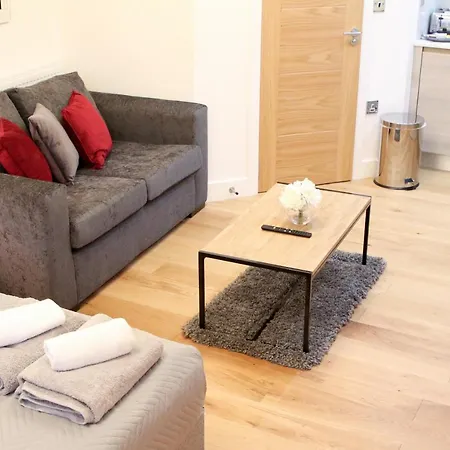 Executive Bright And Airy Studio Apartment In Sydenham-3