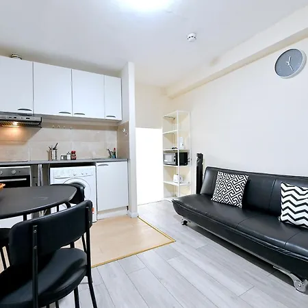 Newly Renovated Bedsit Near Seven Sisters-2
