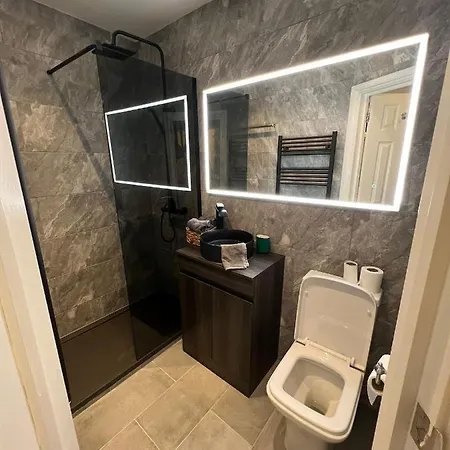 Newly Renovated Modern Studio Apartment In West Kensington-3