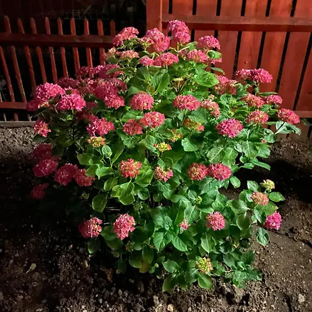 Queenomega'S Home Stay-2
