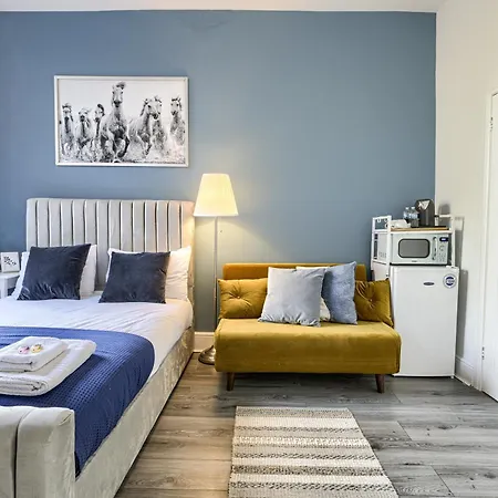 Hackney Central Deluxe Apartment-3