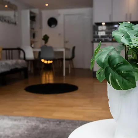 Cosy Ground Floor Apartment-3