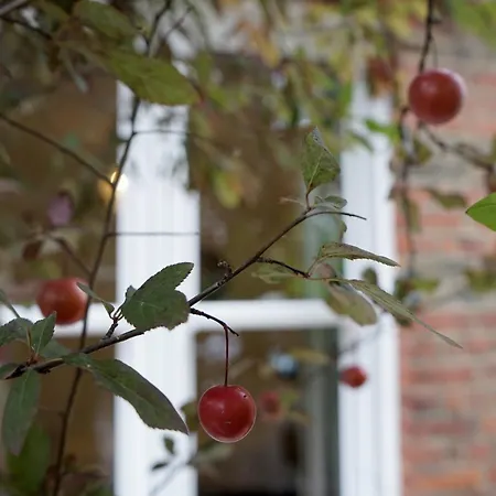 Luxury London House Sleeps 13, 2 Minutes To Metro-3