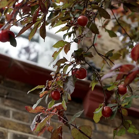 Beautiful London Home Sleeps 6, 2 Minutes To Metro-2