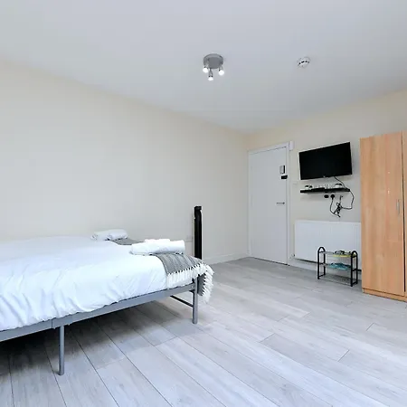 Newly Renovated Bedsit Near Seven Sisters-3