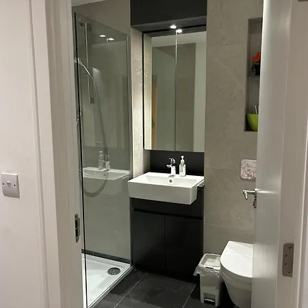 Modern En-Suite Room And Self Catering In London-2