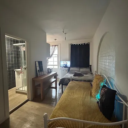 Spacious Studio Flat In London-2