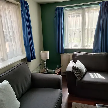 Comfortable Two Bedroom Modern Apartment-3