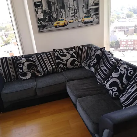 Room In Luxurious Penthouse Apartment-3