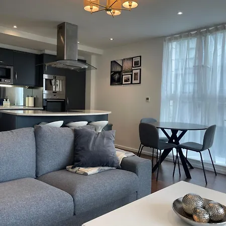 Modern Luxury 2 Bedroom Apartment In London Excel-2