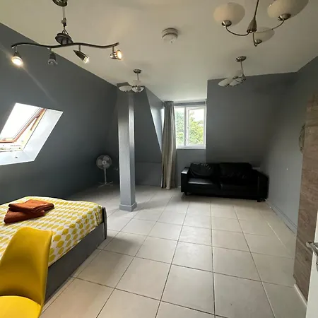 Luxury Room In Rooftop Penthouse In Central London, Shared Flat-3
