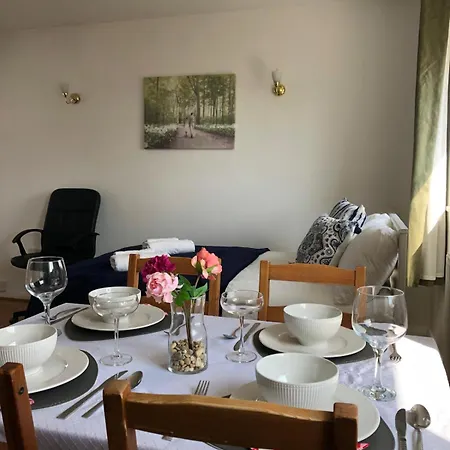 Comfy Entire Flat With City View Balcony In Regents Park, Camden, Central London-2