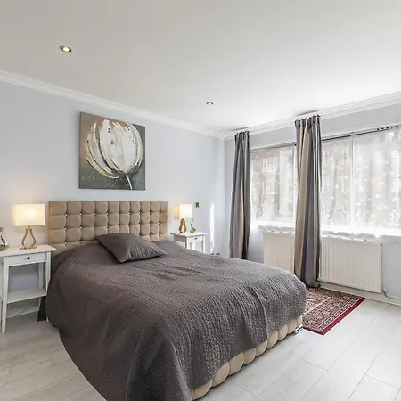 Spacious House Near Hyde Park & Oxford Street-3