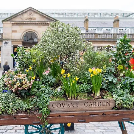 Buckingham Suite - Heart Of Covent Garden!-3