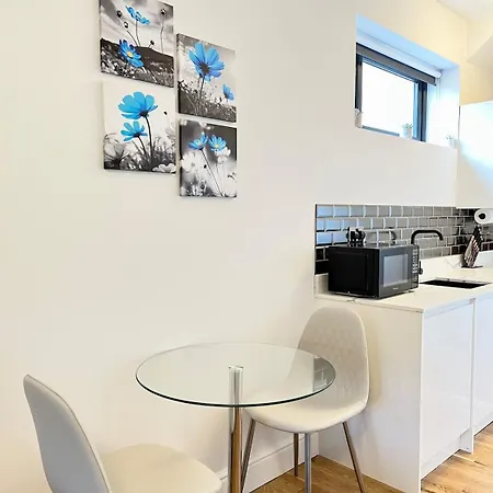Luxury Apartment In East London-3