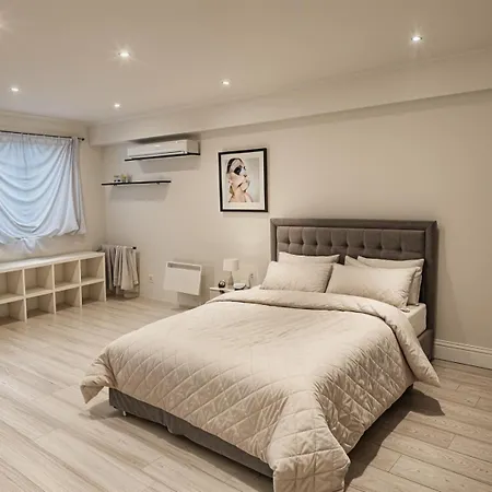 Deluxe Urban Retreat Studio Apartment-3