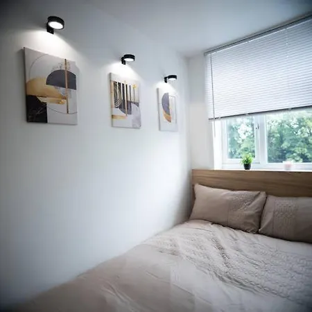 Newly Renovated Ensuite Room-2