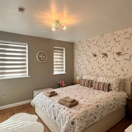Cozy Apartment-2
