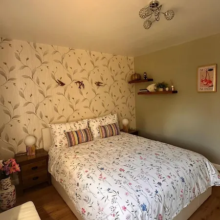 Cozy Apartment-3