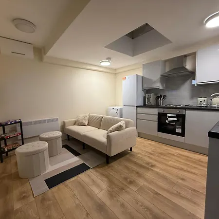 Spacious 2Bed Flat In Wembley Close To Stadium-2