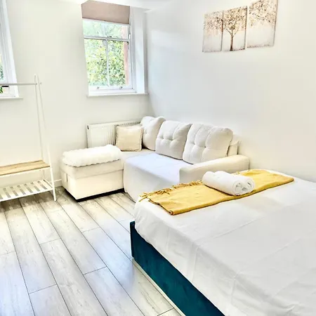 Beautiful Flat Near Central London - Entire Flat - Equipped Kitchen - Private Bathroom-3
