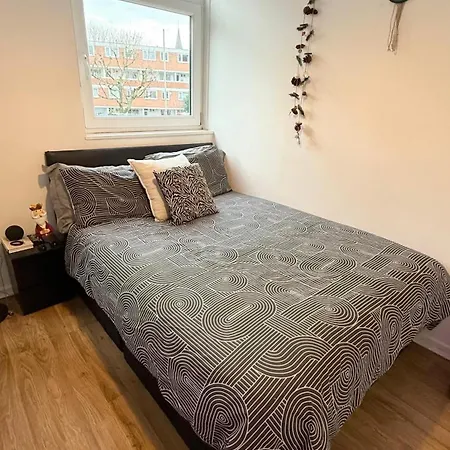 Colourful & Comfy Studio Flat-3
