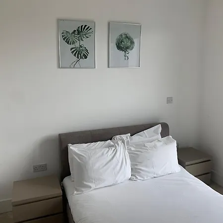 Modern 2 Bedroom Apt With Easy Access To Central London, O2, Excel Centre And Parking-2