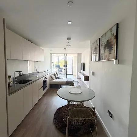 Amazing 1Bed With Winter Garden In Vauxhall-3