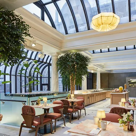 The Dilly-3