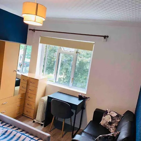 Isle Of Dogs Rooms-3