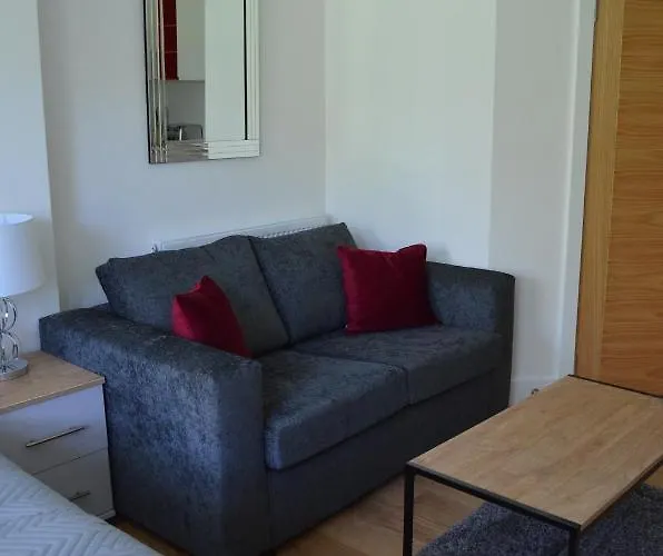 Executive Bright And Airy Studio Apartment In Sydenham Londres