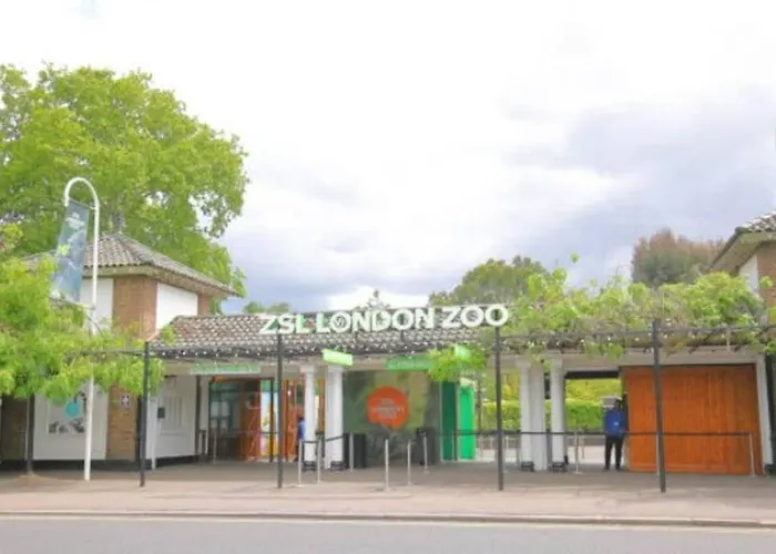 Great Location Service And Stay Double Ensuite Room With Shared Kitchen- 5Mins Walk From Tufnell Park